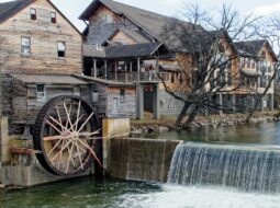 Harrison Mill economic importance